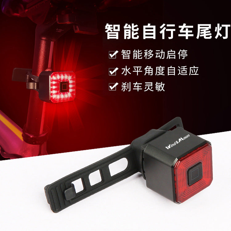 Intelligentes USB-Fahrradrücklicht mit Bremsinduktion